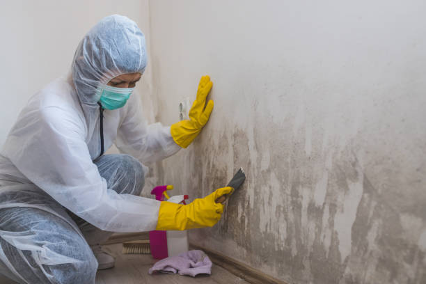 Best Emergency Mold Removal  in Conyers, GA