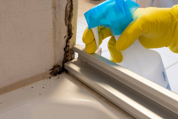 Professional Mold Removal in Conyers, GA