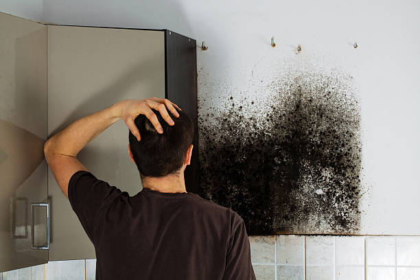 Best Mold Removal Specialists  in Conyers, GA